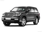 auto-sales
